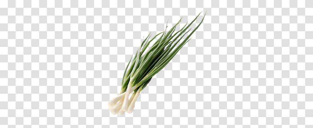 Leek, Vegetable, Plant, Produce, Food Transparent Png