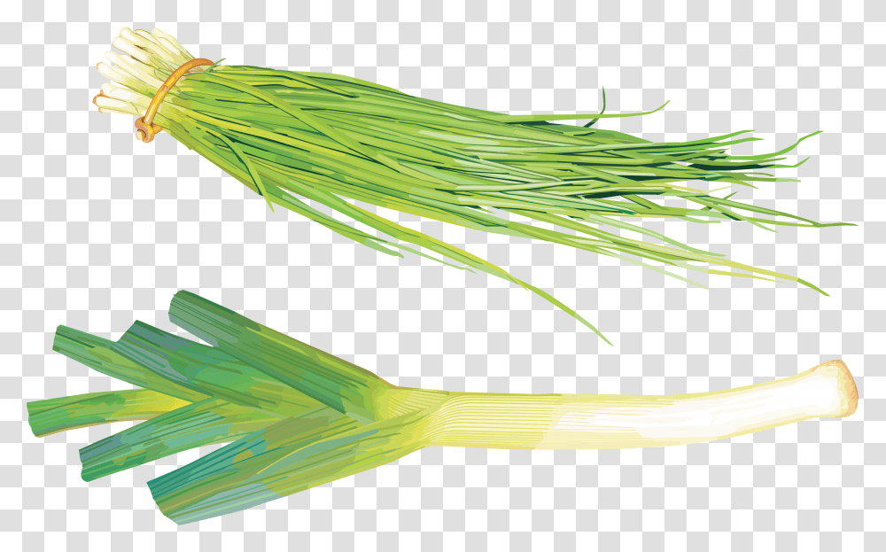 Leek, Vegetable, Plant, Produce, Food Transparent Png