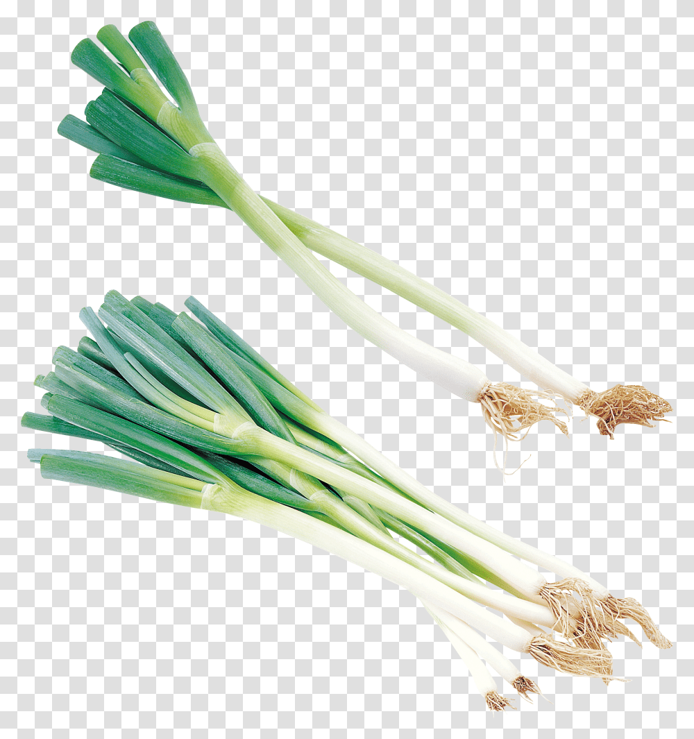 Leek, Vegetable, Plant, Produce, Food Transparent Png