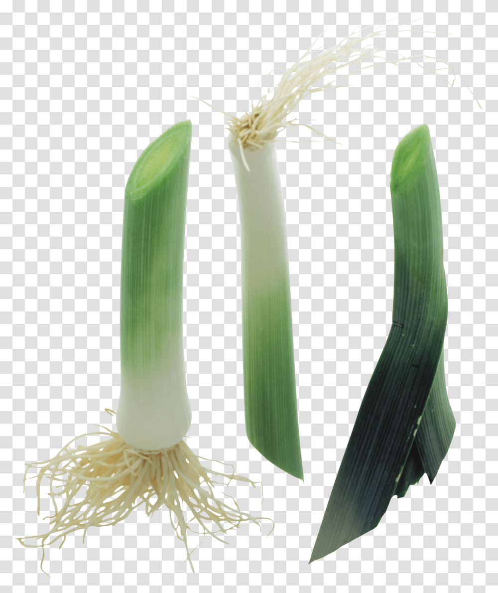 Leek, Vegetable, Plant, Produce, Food Transparent Png