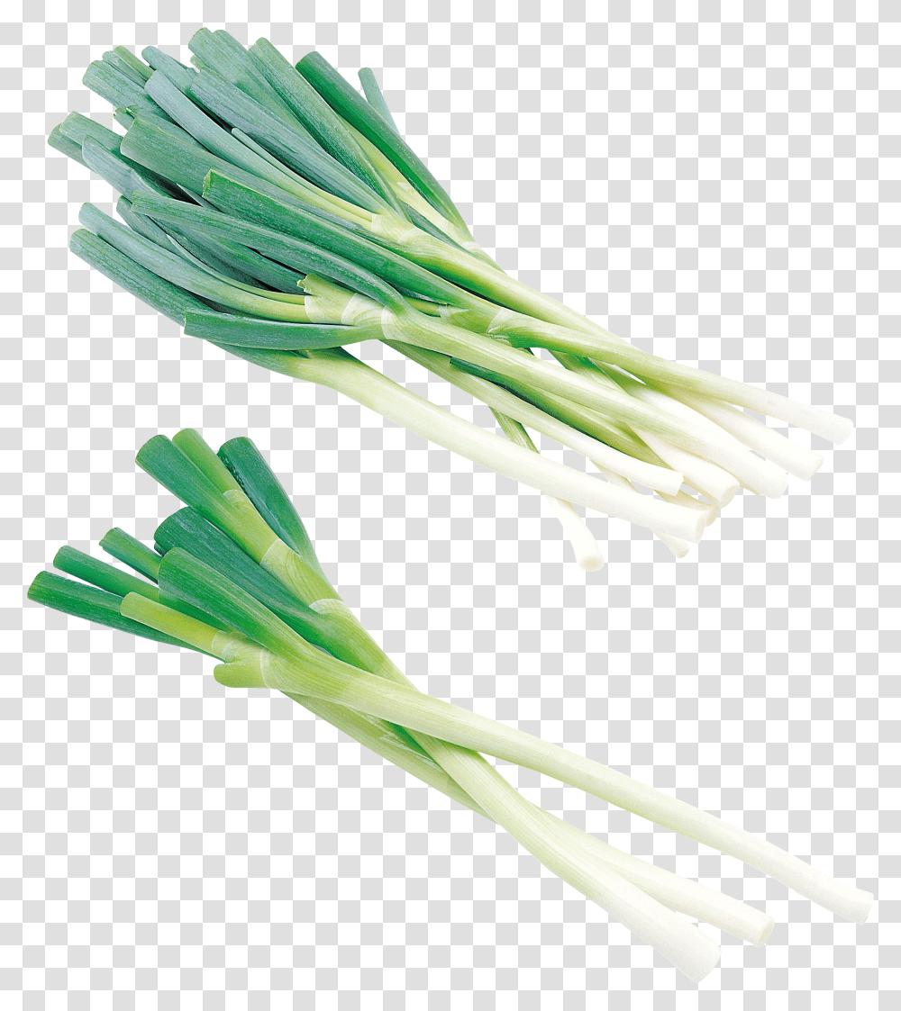 Leek, Vegetable, Plant, Produce, Food Transparent Png