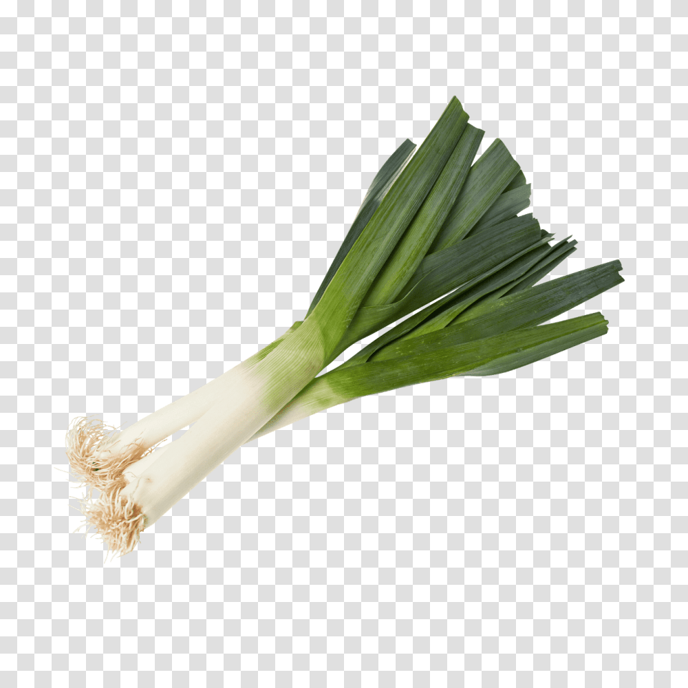 Leek, Vegetable, Plant, Produce, Food Transparent Png