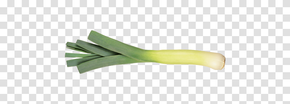 Leek, Vegetable, Plant, Produce, Food Transparent Png