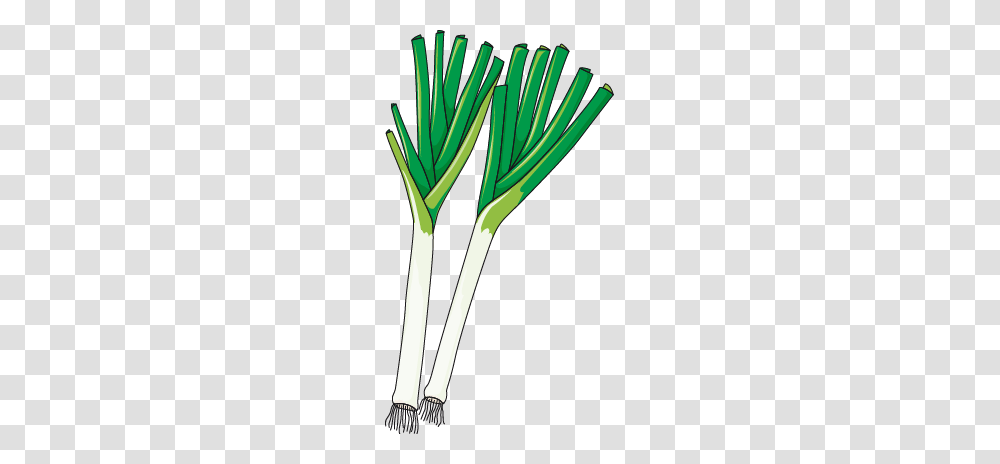 Leek, Vegetable, Plant, Produce, Food Transparent Png