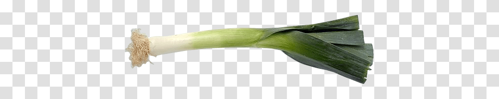 Leek, Vegetable, Plant, Produce, Food Transparent Png