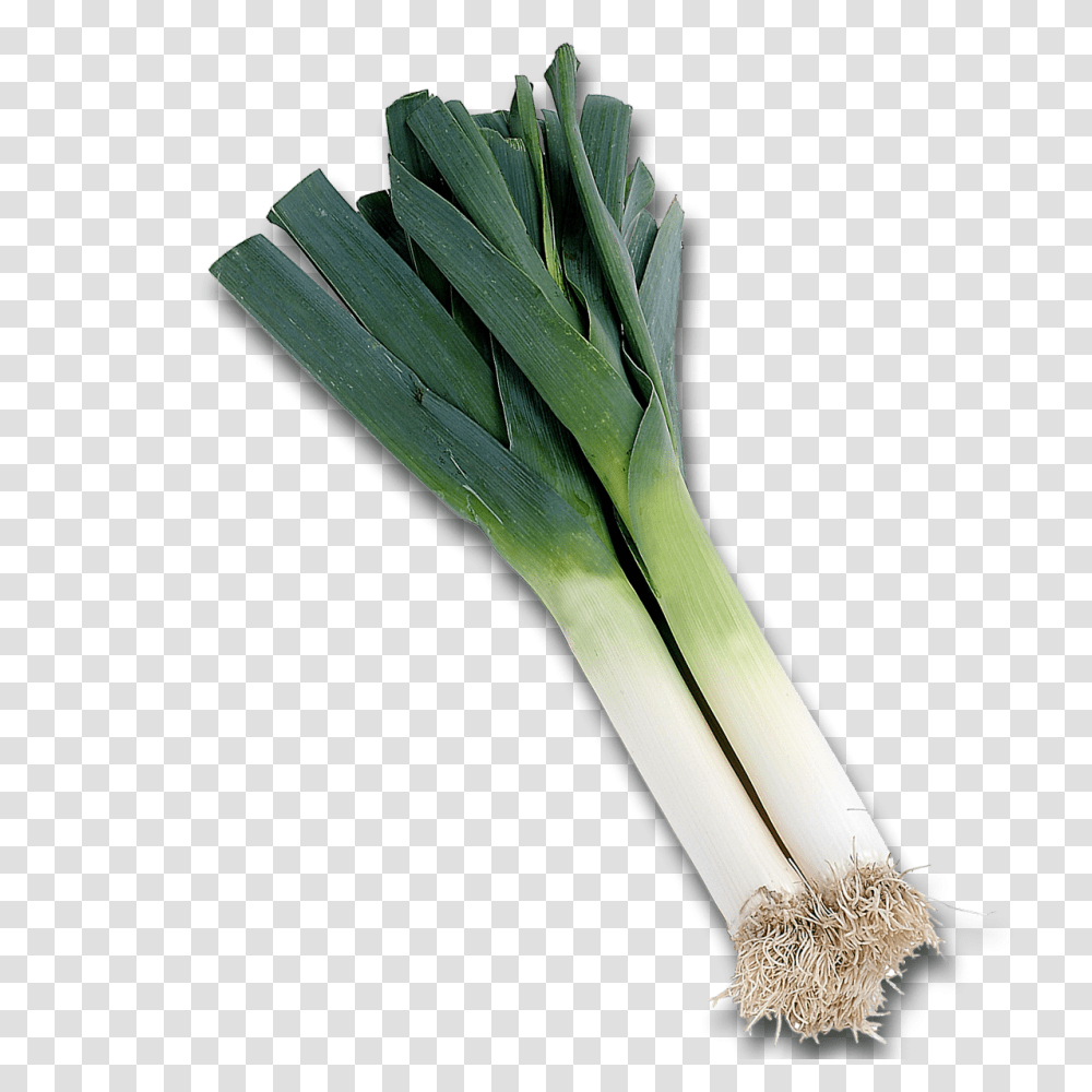 Leek, Vegetable, Plant, Produce, Food Transparent Png