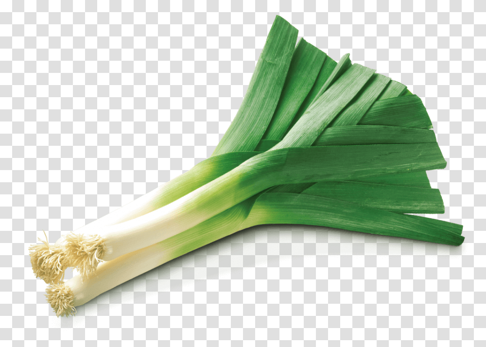 Leek, Vegetable, Plant, Produce, Food Transparent Png