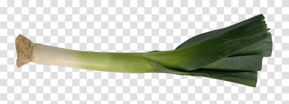 Leek, Vegetable, Plant, Produce, Food Transparent Png