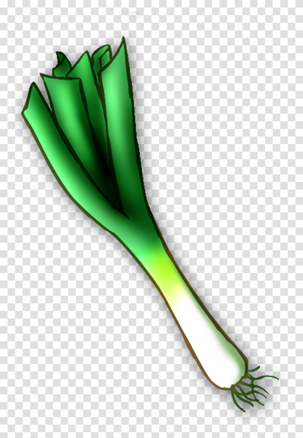 Leek, Vegetable, Plant, Produce, Food Transparent Png