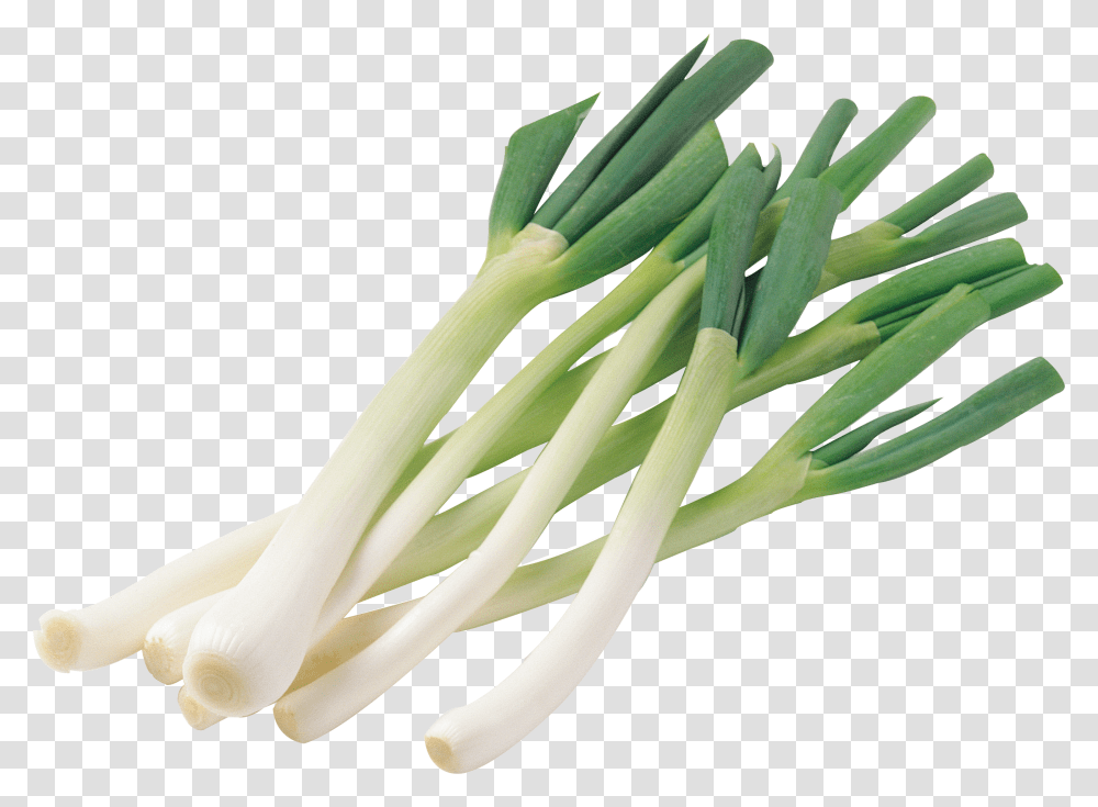 Leek, Vegetable, Plant, Produce, Food Transparent Png