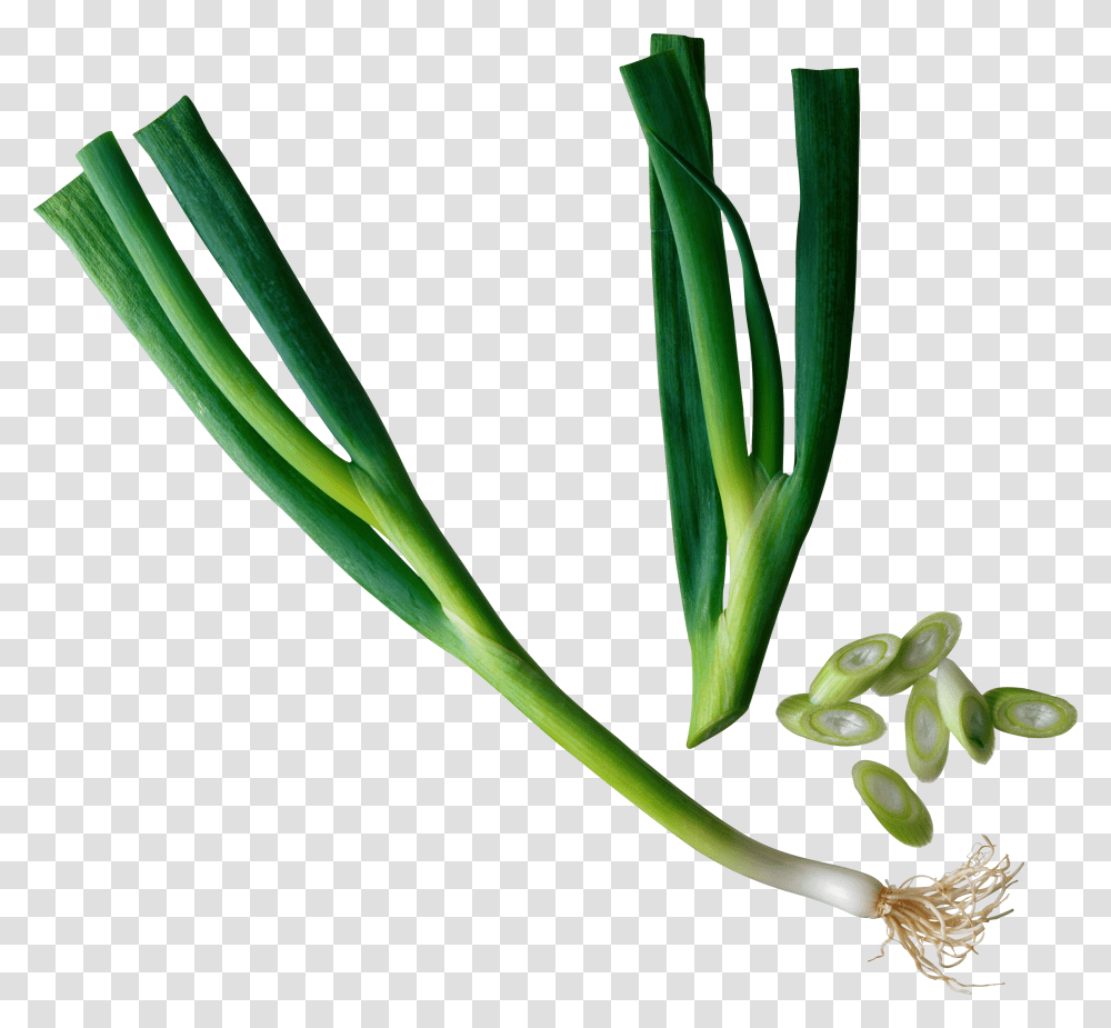 Leek, Vegetable, Plant, Produce, Food Transparent Png