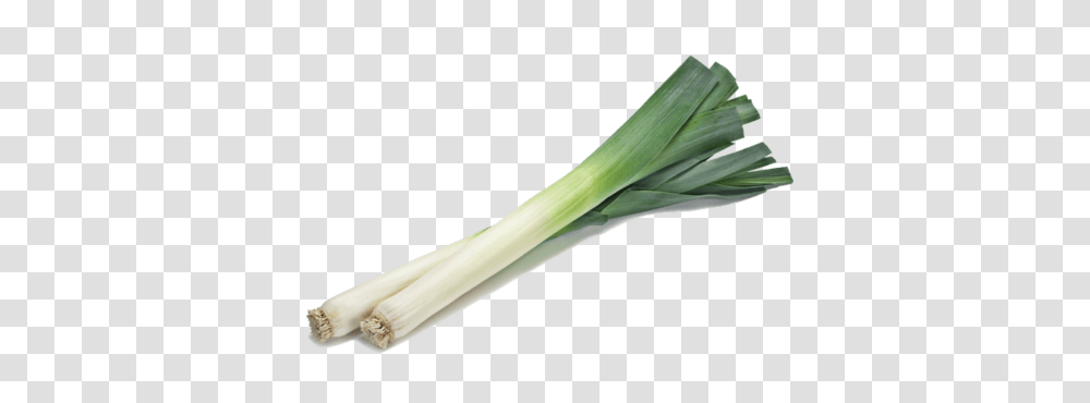 Leek, Vegetable, Plant, Produce, Food Transparent Png