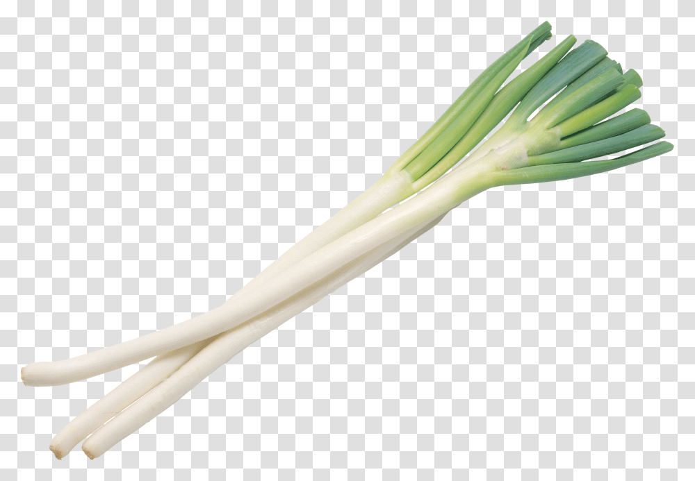 Leek, Vegetable, Plant, Produce, Food Transparent Png