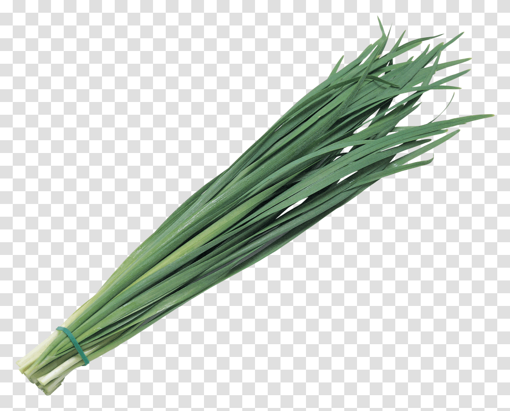 Leek, Vegetable, Plant, Produce, Food Transparent Png