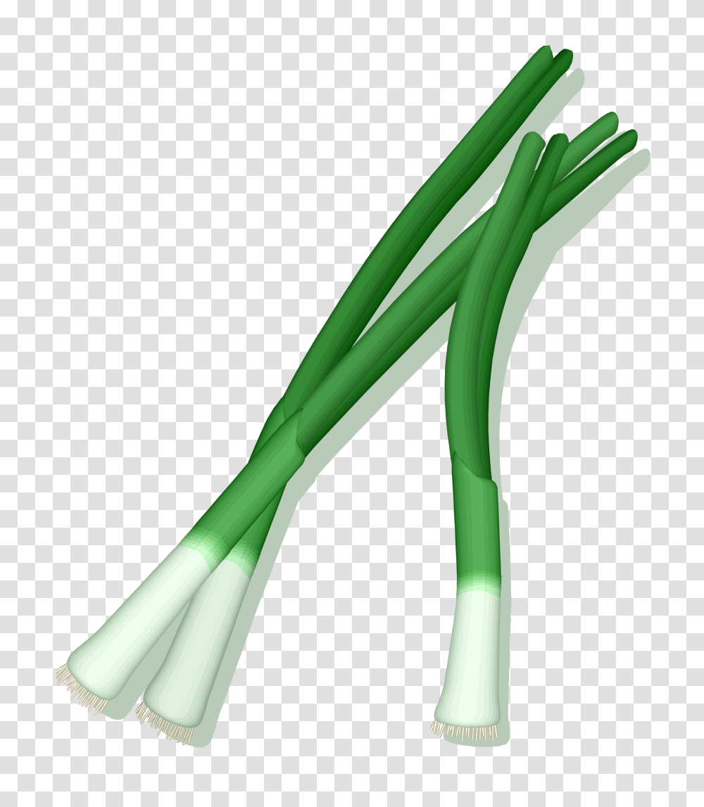 Leek, Vegetable, Produce, Food, Plant Transparent Png