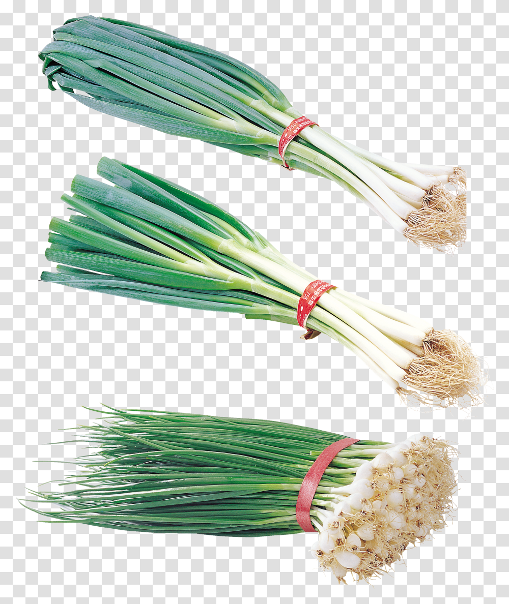 Leek, Vegetable Transparent Png