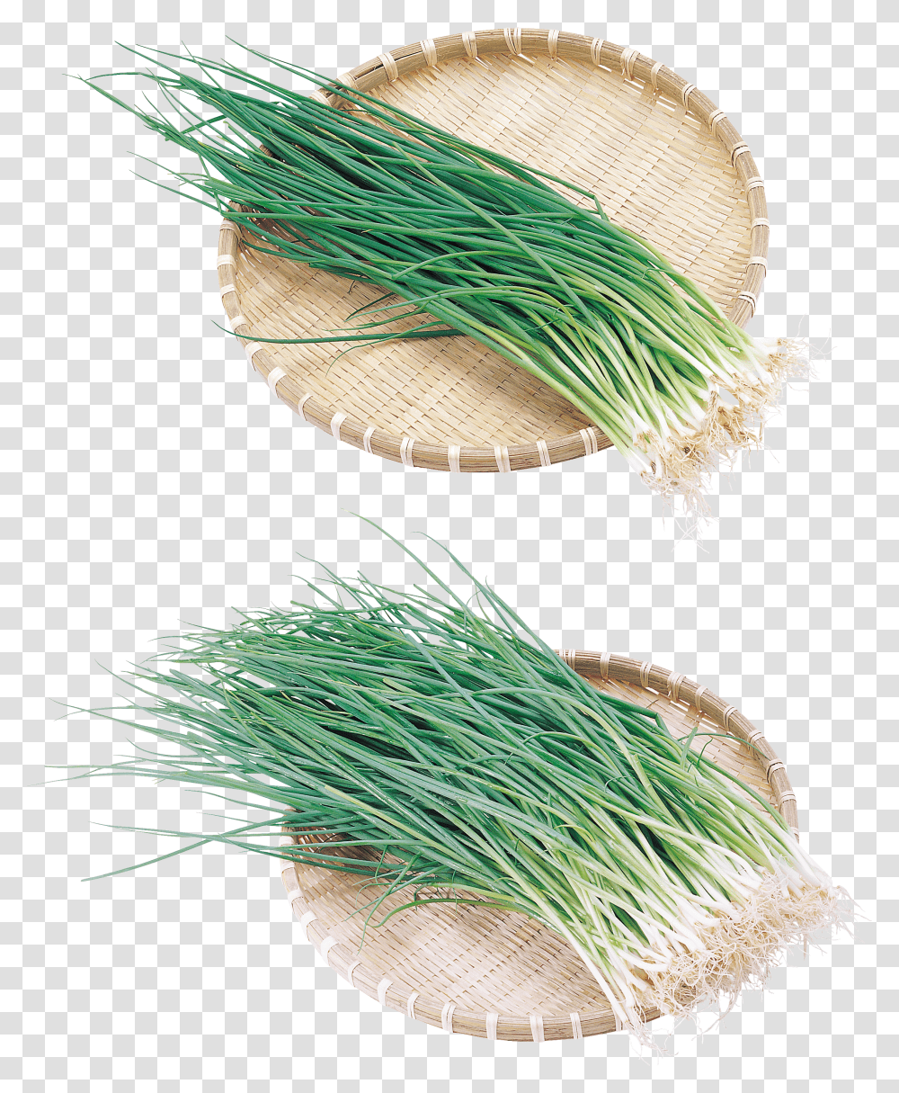 Leek, Vegetable Transparent Png