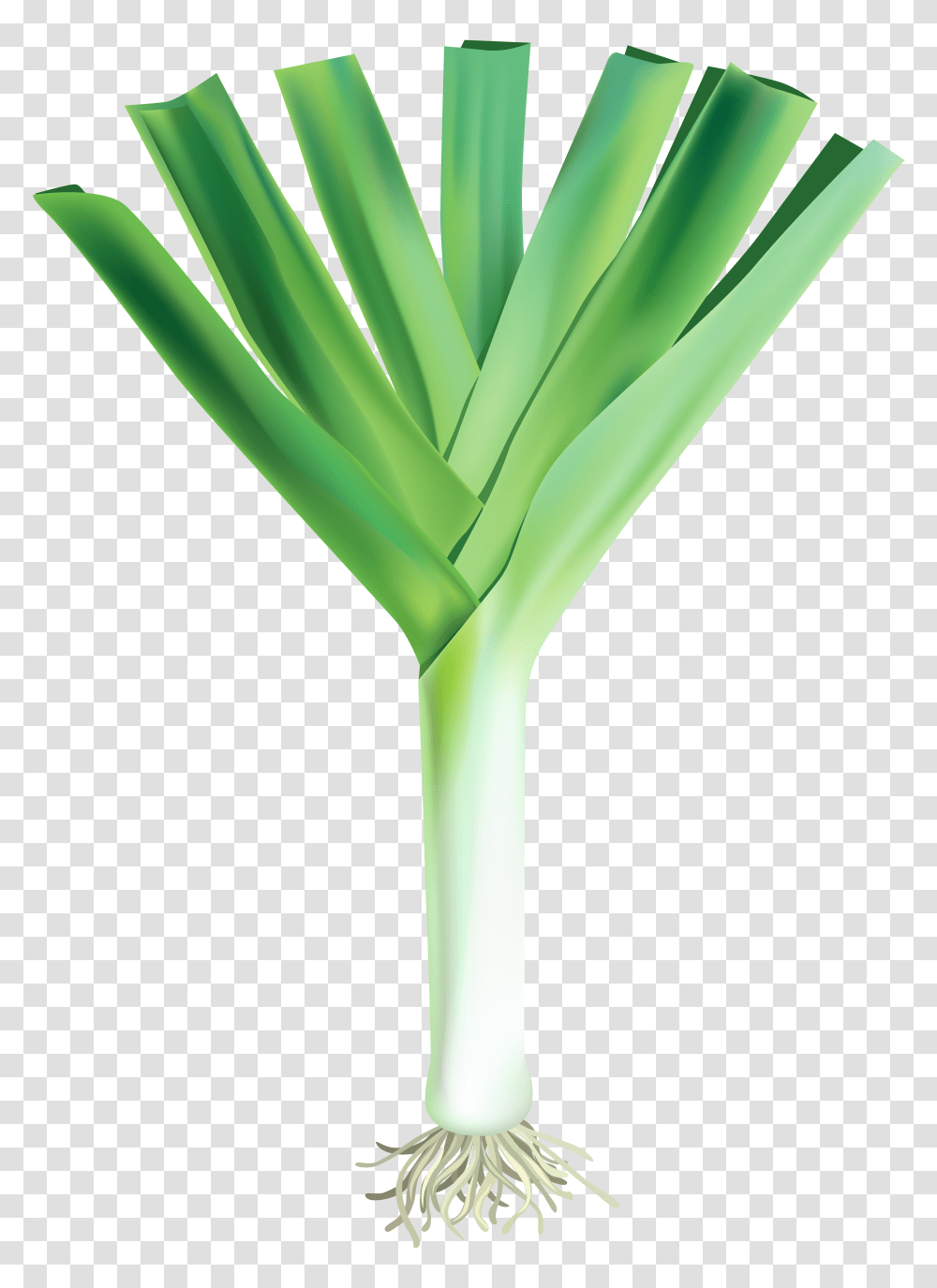 Leek, Vegetable Transparent Png