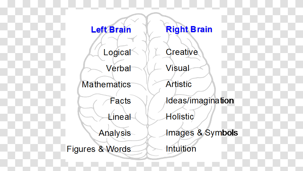 Left And Right Brain Hemispheres, Plot, Number Transparent Png