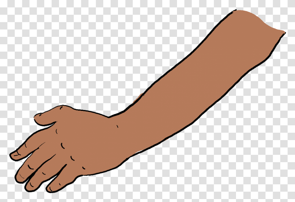 Left Arm, Hand, Wrist, Bird, Animal Transparent Png