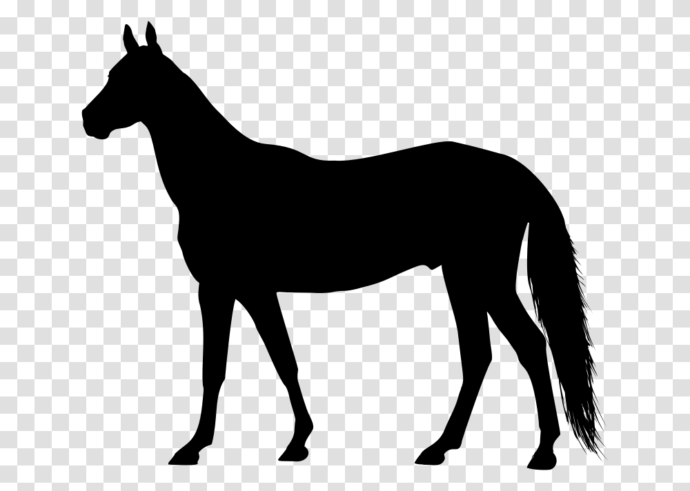 Left Facing Horse Silhouette Horse Silhouette Clip Art Free, Gray, World Of Warcraft Transparent Png