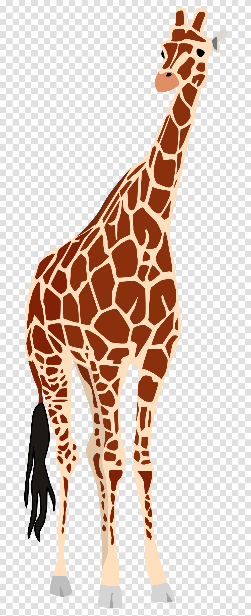 Leg Clipart Giraffe Giraffe Vector, Wildlife, Mammal, Animal, Pattern Transparent Png