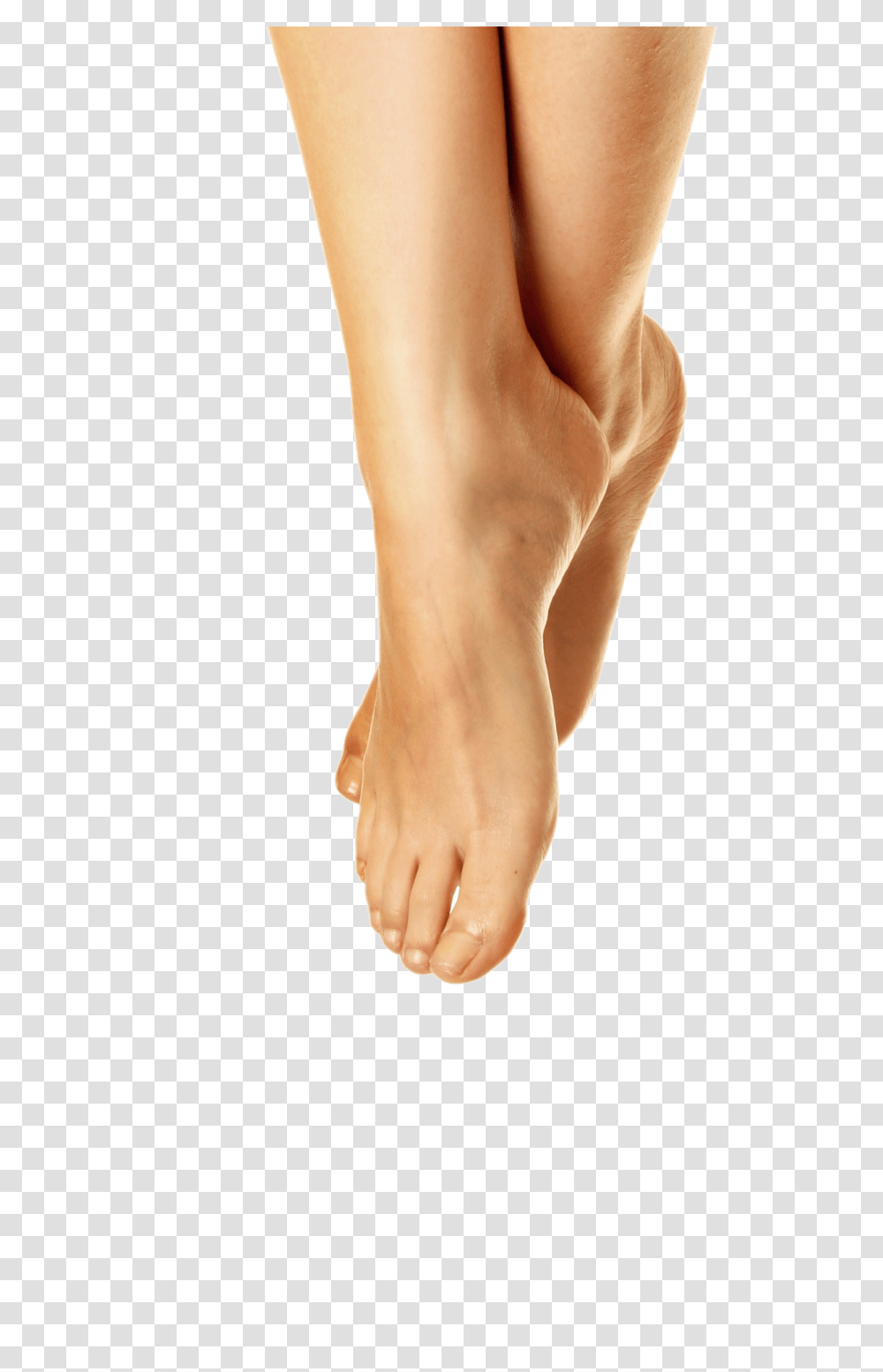 Leg, Person, Human, Toe, Ankle Transparent Png
