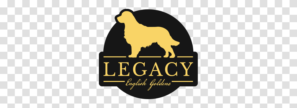 Legacy English Goldens, Outdoors, Animal, Poster, Mammal Transparent Png