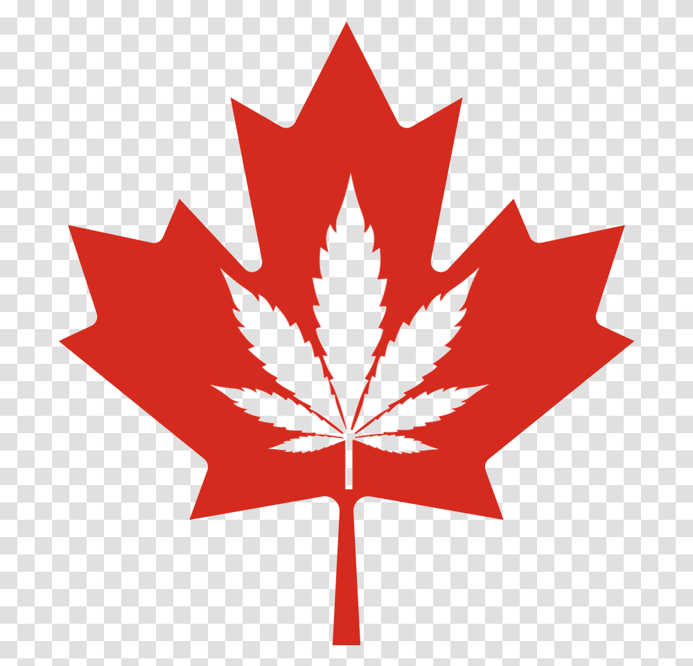 Legal History Of Cannabis In Canada Maple Leaf, Plant, Tree, Poster, Advertisement Transparent Png