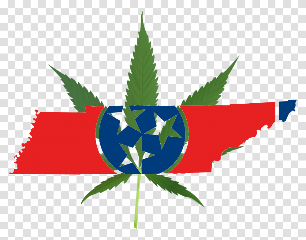 Legalization Issue Divides Candidates In Tennessee Governor Race, Leaf, Plant, Weed Transparent Png