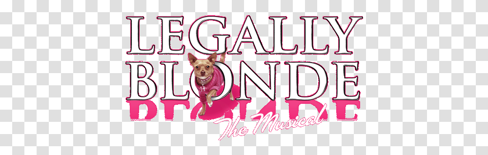 Legally Blonde Legally Blonde The Musical Logos, Text, Alphabet, Dog, Pet Transparent Png