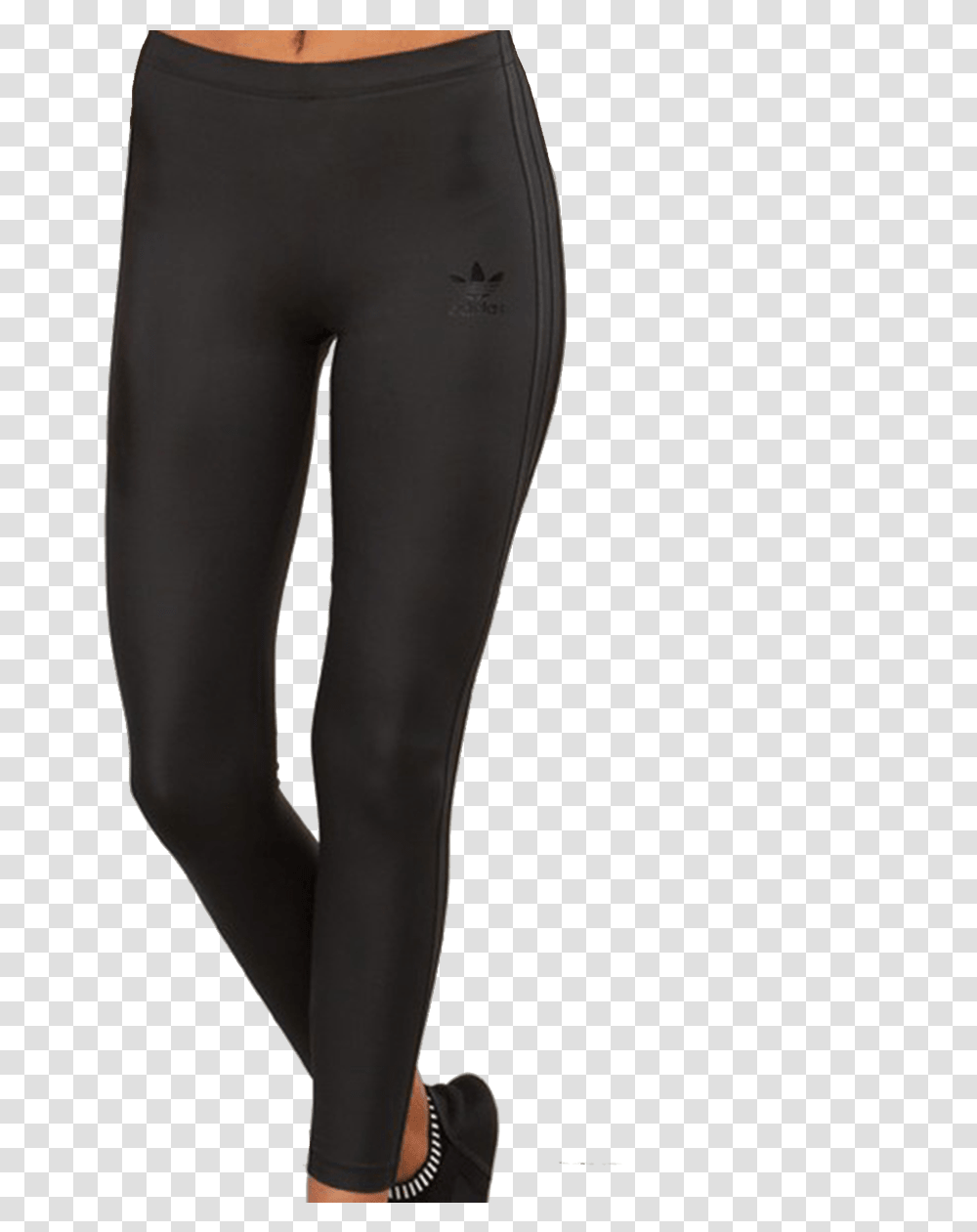 Leggings, Pants, Apparel, Tights Transparent Png