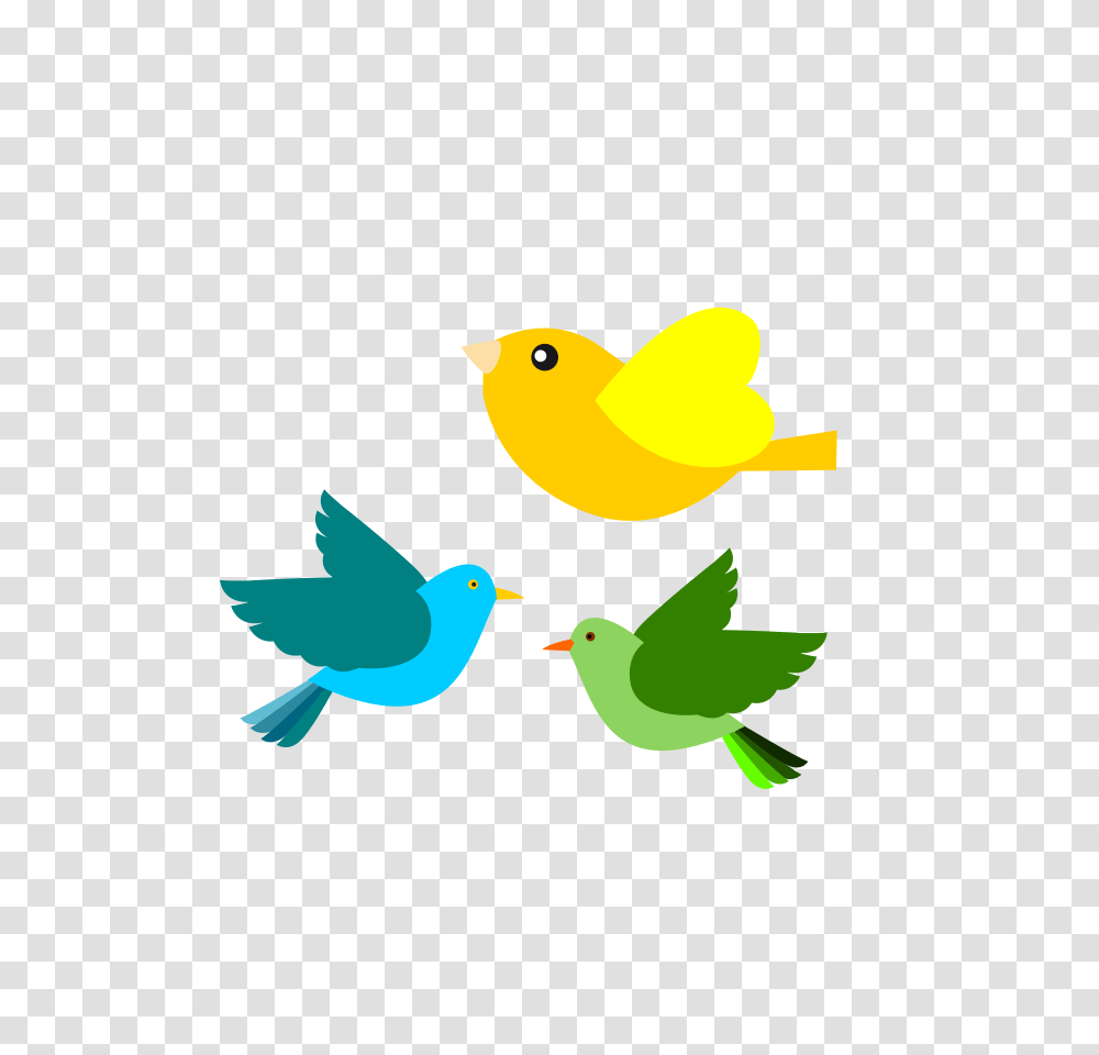 Legs Clip Art, Bird, Animal, Canary, Finch Transparent Png