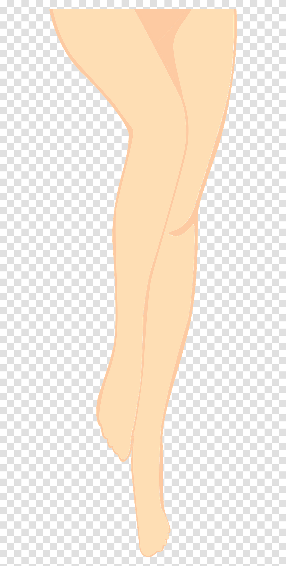Legs Clipart Ankle, Heel, Clothing, Apparel, Pants Transparent Png