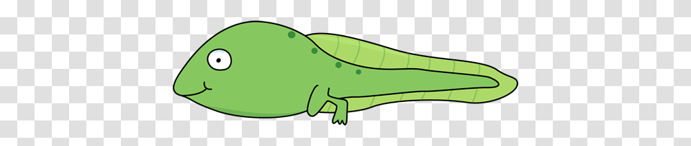 Legs Clipart, Reptile, Animal, Kayak, Rowboat Transparent Png