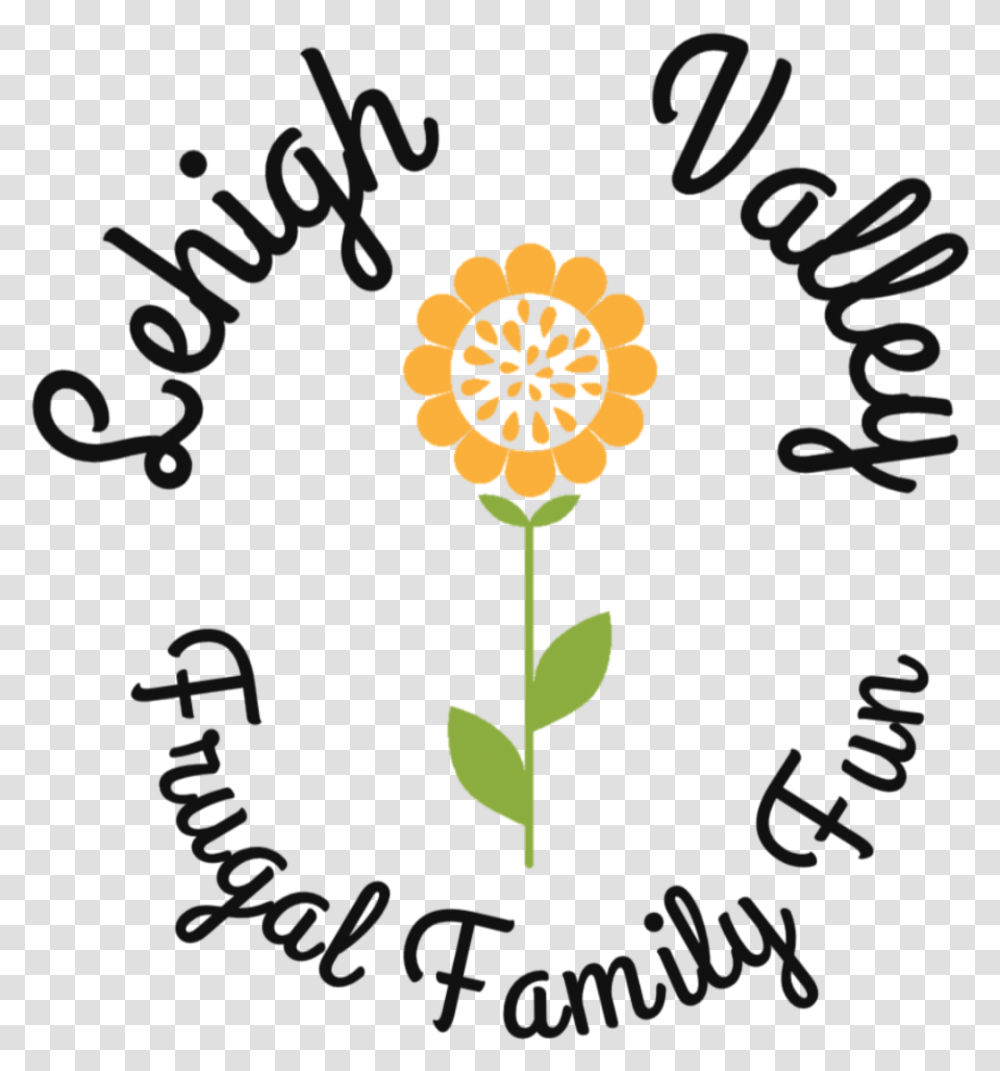 Lehigh Valley Frugal Family Fun Sunflower, Plant, Floral Design Transparent Png