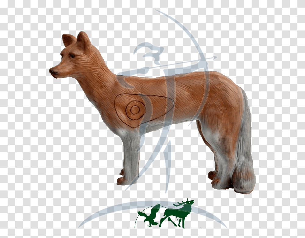 Leitold 3d Target Coyote Archery, Antelope, Wildlife, Mammal, Animal Transparent Png