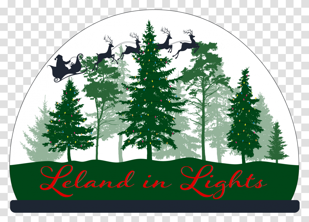 Leland In Lights Featuring Tree Lighting Town Of Pine Forest Vector, Plant, Fir, Abies, Conifer Transparent Png