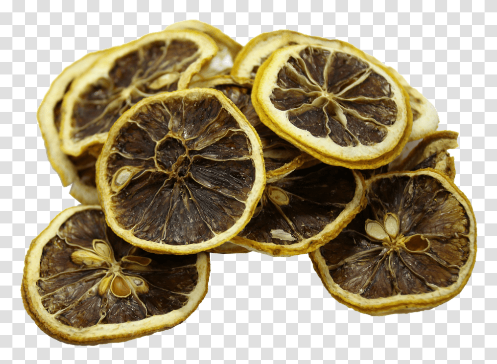 Lemon 960, Fruit, Citrus Fruit, Plant, Food Transparent Png