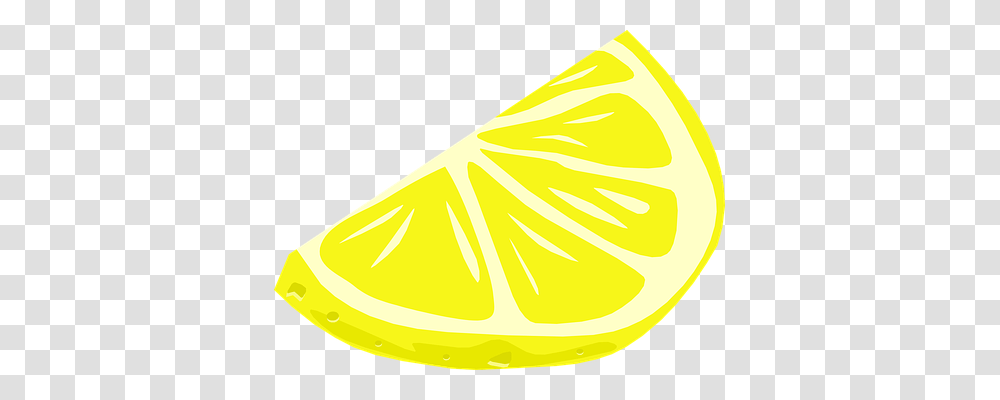 Lemon Nature, Citrus Fruit, Plant, Food Transparent Png