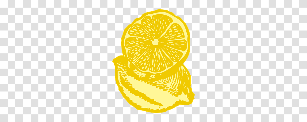 Lemon Nature, Plant, Citrus Fruit, Food Transparent Png