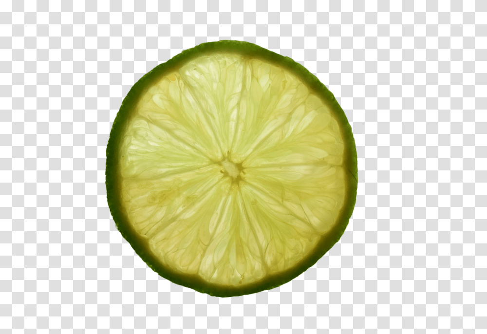 Lemon 960, Fruit, Citrus Fruit, Plant, Food Transparent Png