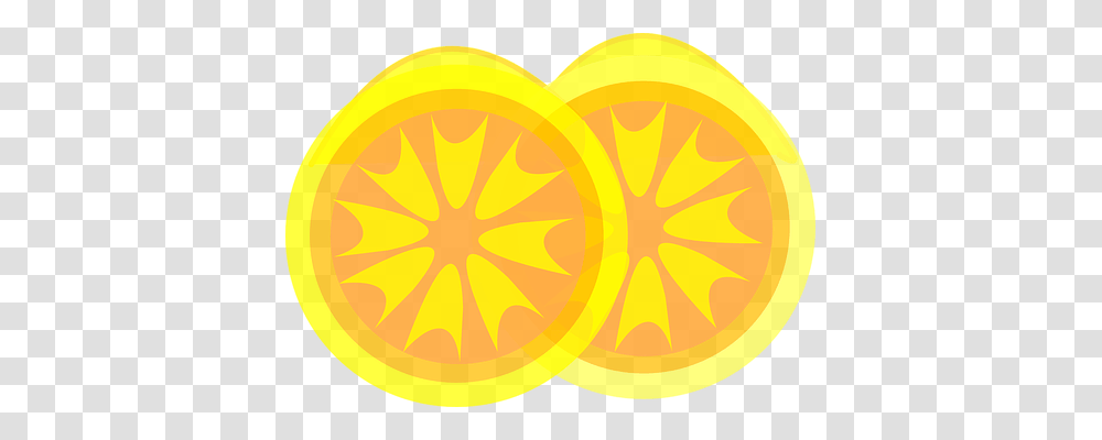 Lemon Nature, Citrus Fruit, Plant, Food Transparent Png