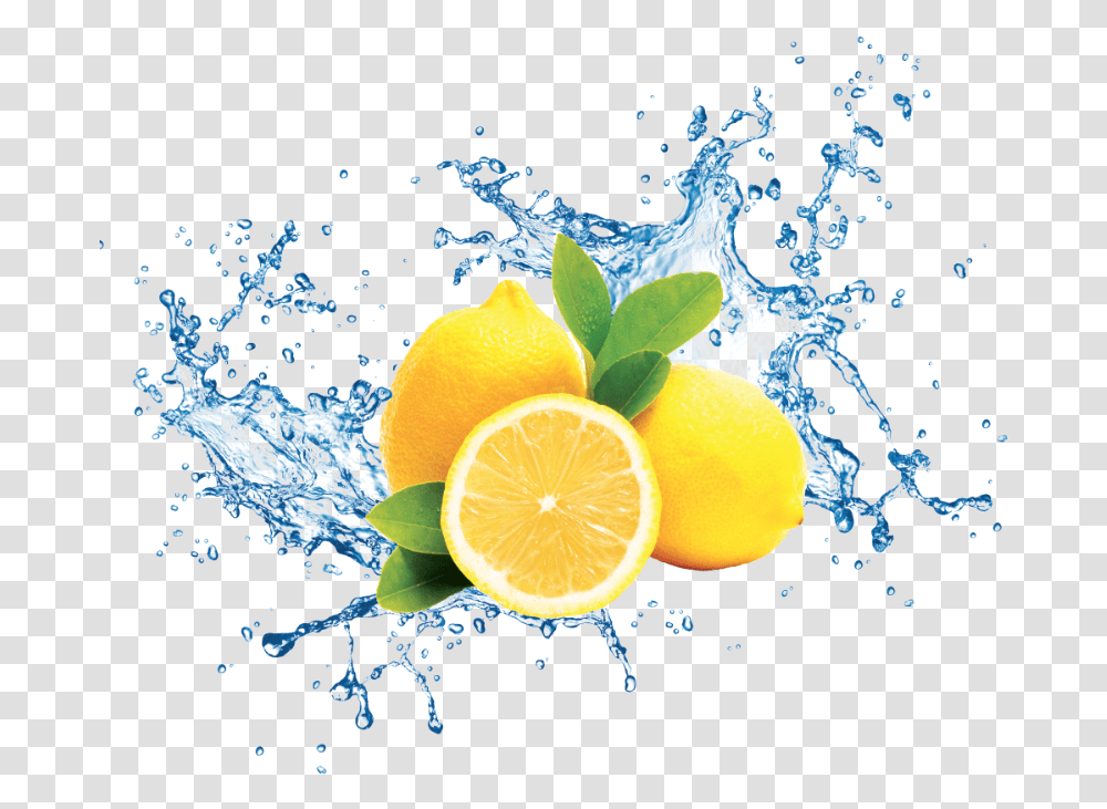 Lemon And Water, Orange, Citrus Fruit, Plant, Food Transparent Png