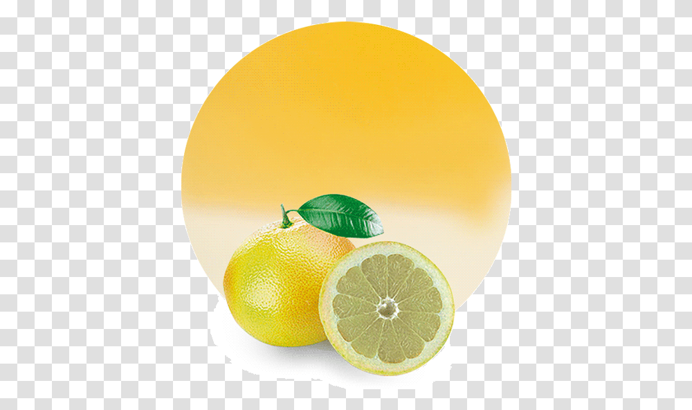 Lemon And White Grapefruit Look Alike, Citrus Fruit, Plant, Food, Produce Transparent Png