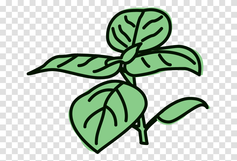 Lemon Basil Sorbet Clipart Download Clipart Basil, Leaf, Plant, Stencil, Potted Plant Transparent Png