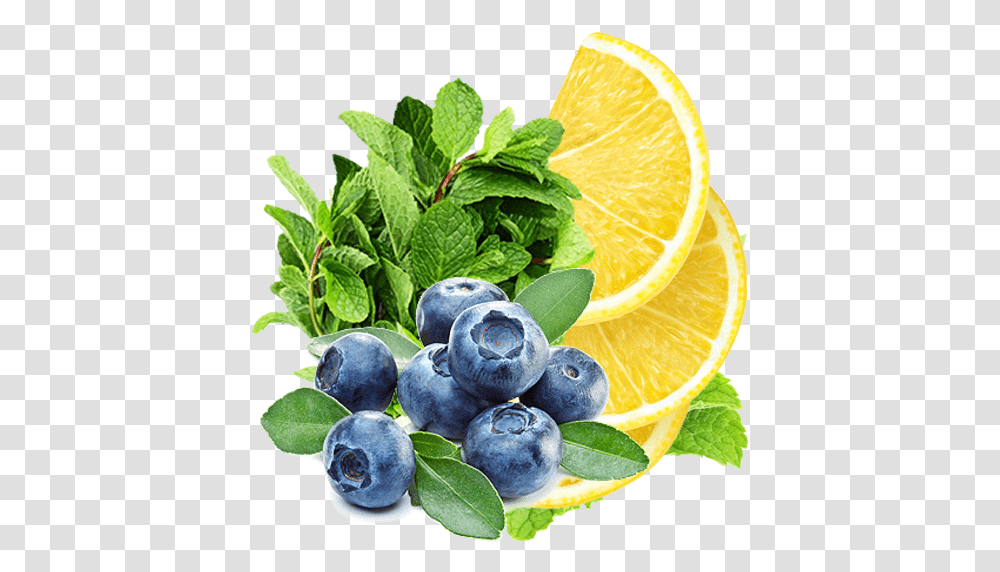 Lemon Blueberry And Mint Recipe Blueberry Background, Plant, Fruit, Food, Citrus Fruit Transparent Png