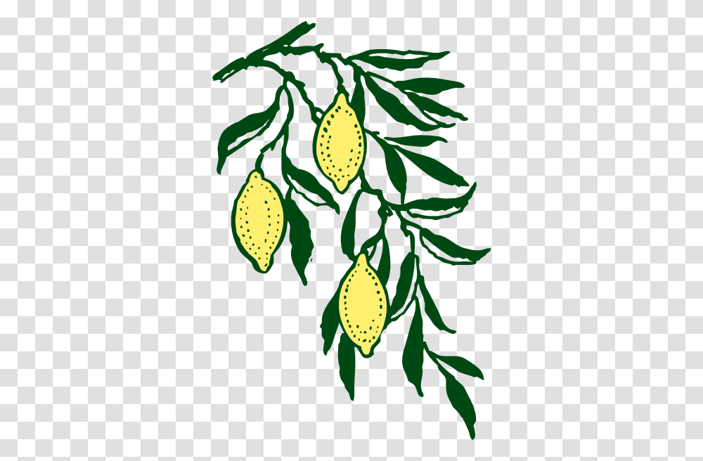 Lemon Branch Clip Art, Plant, Pattern, Leaf Transparent Png