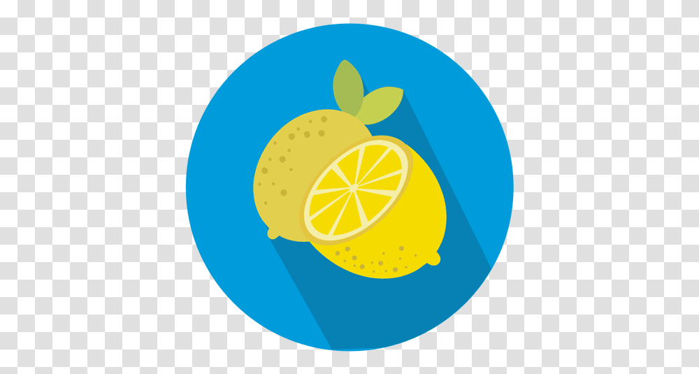 Lemon Circle Icon Icon, Plant, Citrus Fruit, Food, Beverage Transparent Png
