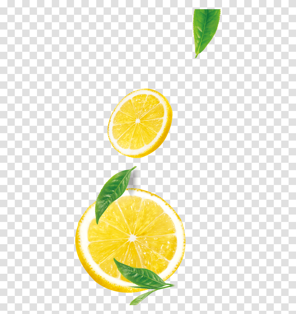 Lemon, Citrus Fruit, Plant, Food, Lime Transparent Png